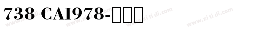 738 CAI978字体转换